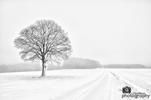 schnee winter snow tree germany landscape bayern deutschland bavaria photography nikon tracks d200 baum winterscape frankenwald frankonianforest d700