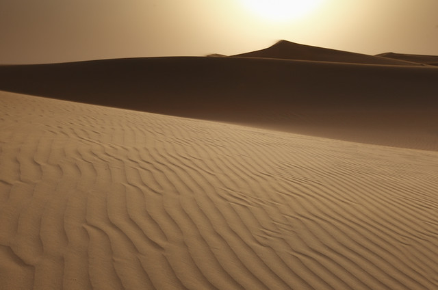 Kuwait - Desert Scape