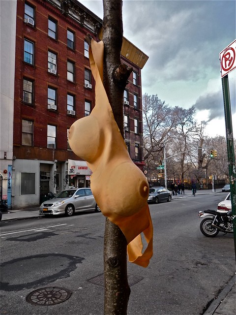 ABANDONED BOOBS, SOMEONE LEFT THEIR BOOBS HANGING ON A TREE…