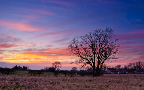 uk sunset sky tree nature landscape nikon afterglow marketrasen d7000