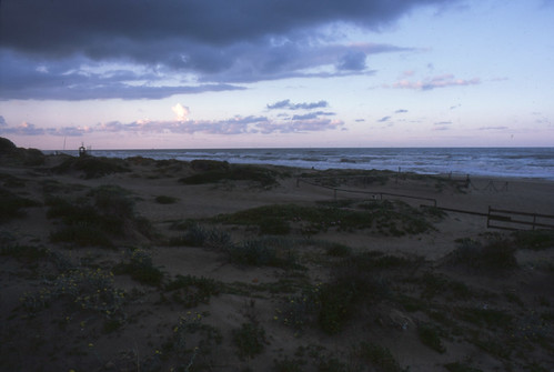 leica sea rome roma film analog sunrise landscape mare fuji alba dune 28mm slide chrome 100 asa provia ostia paesaggio diapositiva sabbia r5 pellicola leitz