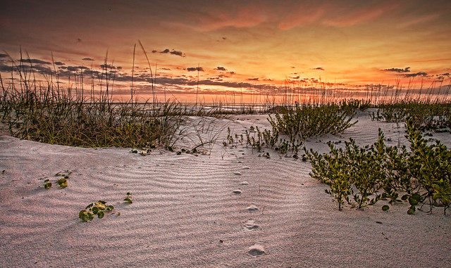 Sunrise at the sand dunes. (Primera luz en las dunas) [Explored]