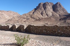 The Sinai