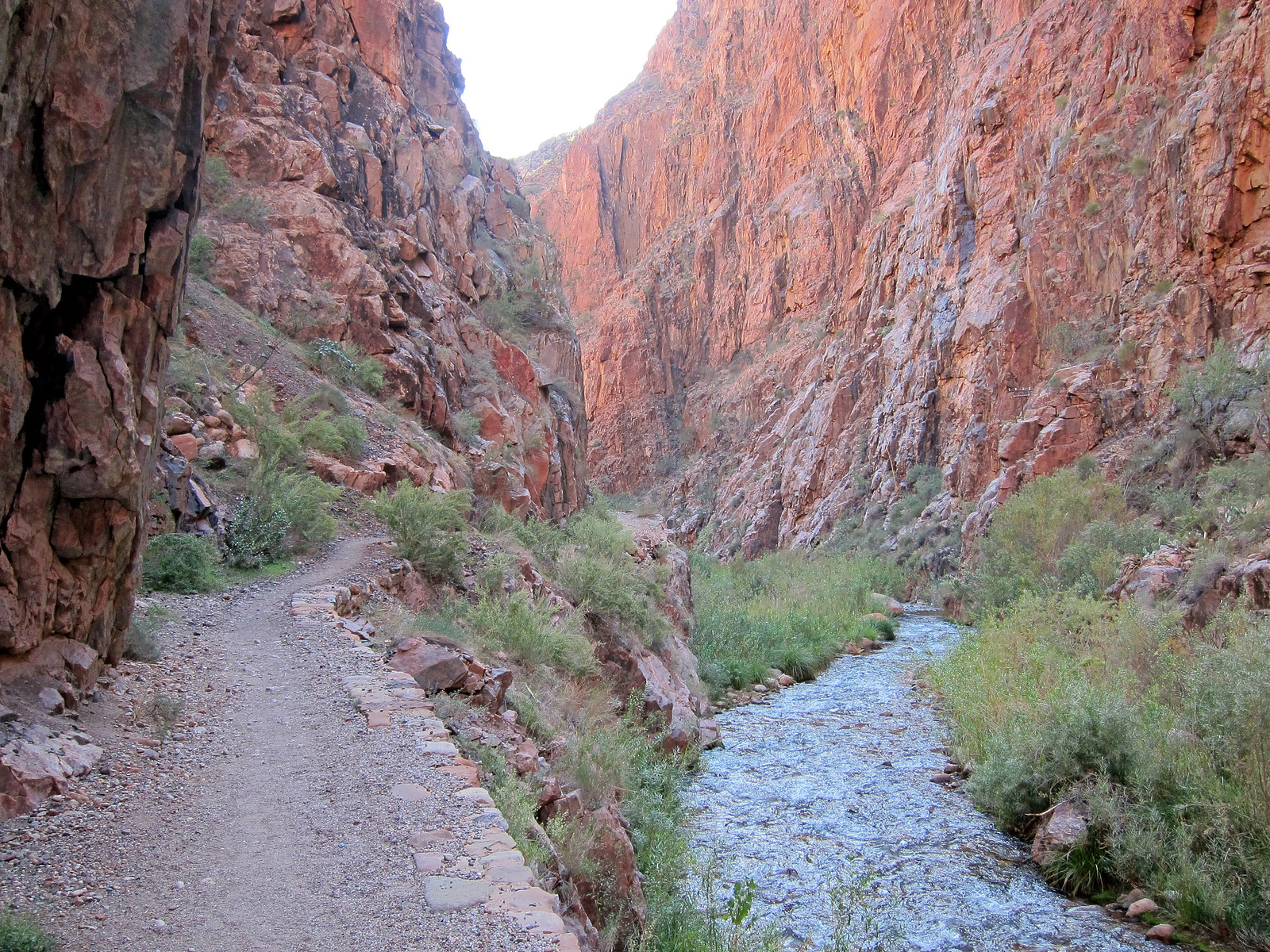Inner Canyon, Grand Canyon National Park - North Kaibab Trail 1143