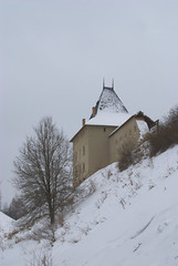 Burg Halitsch
