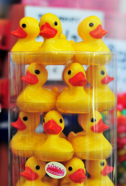 ducks in a jar