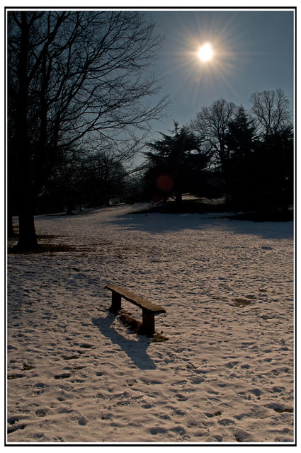 A Snowy bench at Wollaton Hall