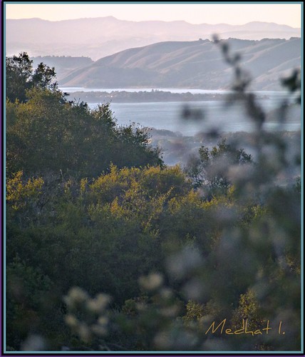 trees sunset lake hills medhathi coastalandwaterviewsbymi
