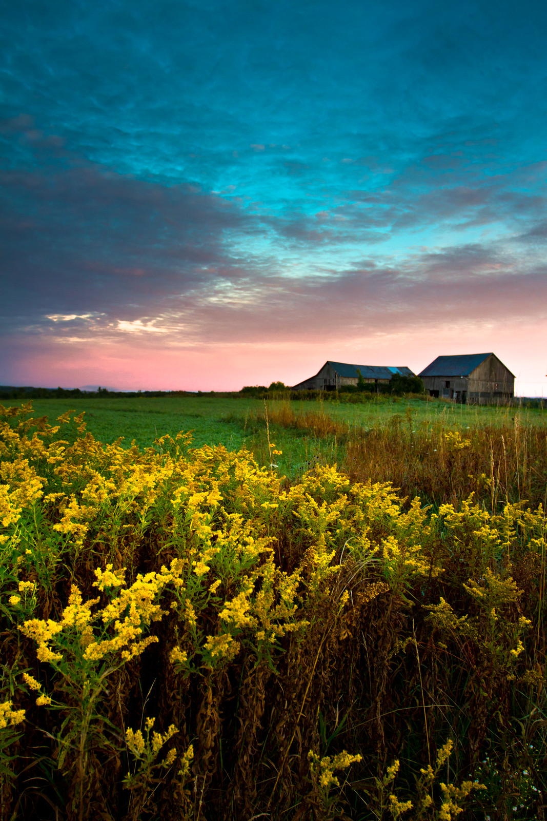'Simple Beauty' - Rural | Flickr