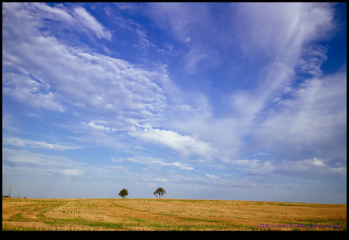 trees sky france clouds fields eurotrip 2015 soletree