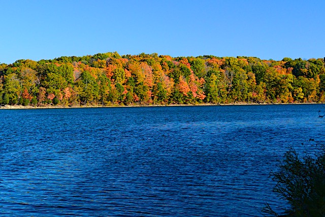 fall color at caesar creek lake