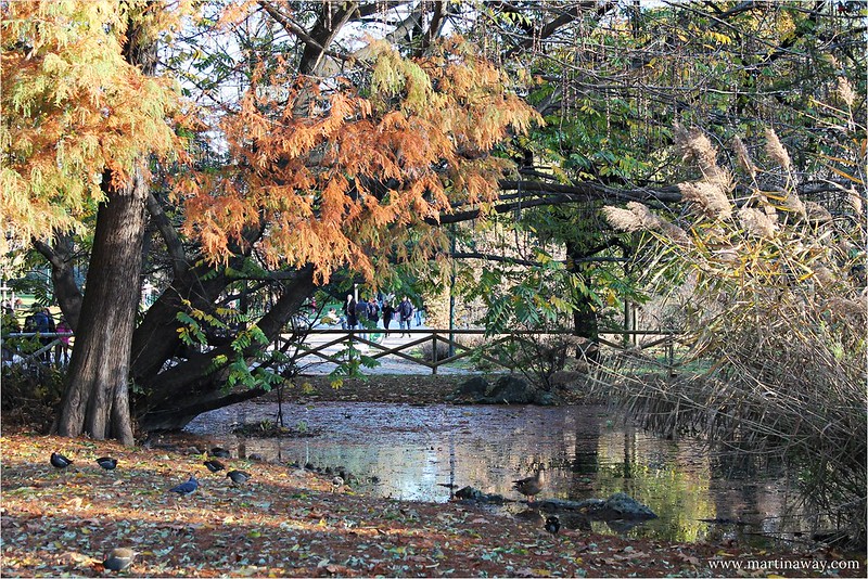 Parco Sempione in autunno.