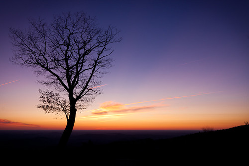 park morning sky mountain tree colors silhouette sunrise dawn virginia shenandoah skylinedrive