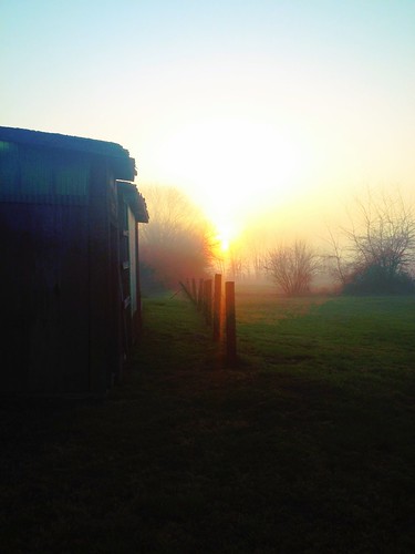 sunrise midwest indianapolis foggy indiana
