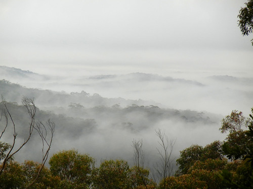 mist bluemountains valley wentworthfalls bunjareecottages