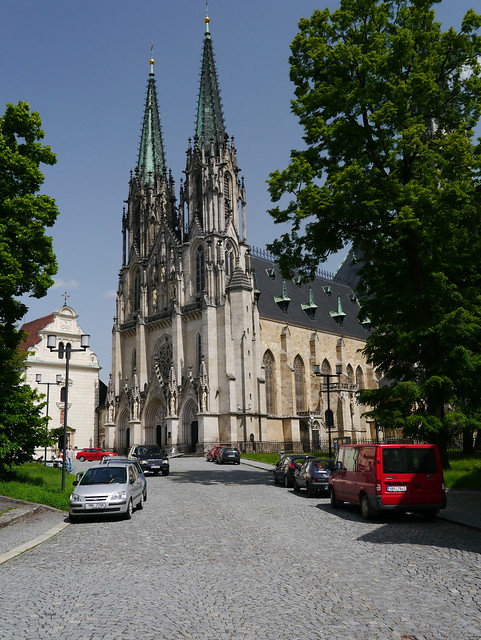 Saint Wenceslas Cathedral (Katedrála svatého Václava)