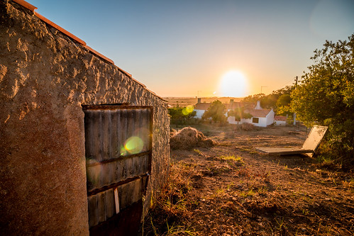 light sunset sun portugal digital photography golden farm country setúbal campo pt quinta bliss alentejo portocovo adrianomartins photographersontumblr