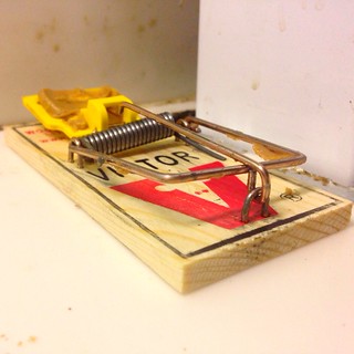 Mouse trap | by stevendepolo
