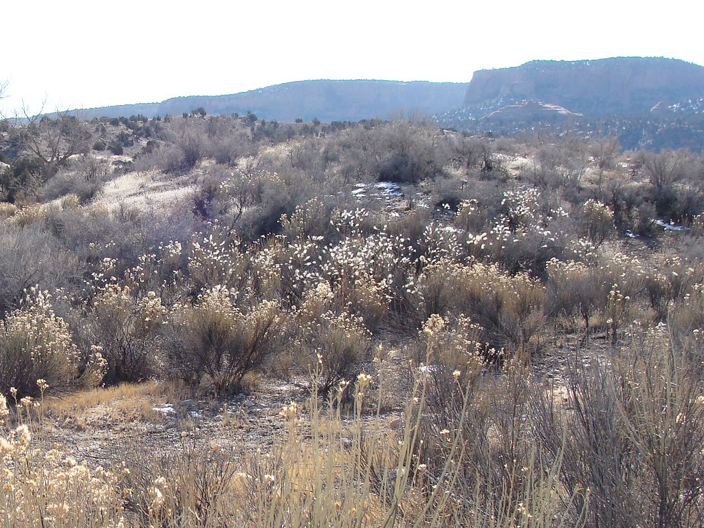 K10 Trail