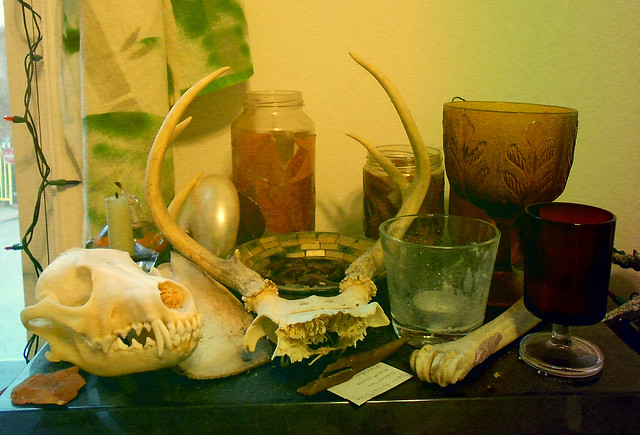 chip of sandstone from Sedona AZ; coyote skull; deer scapula; nautilus shell with outer layer stripped; top of deer skull with antlers; fossil deer antler point; deer arm or leg bone; vintage glasses from antique shop in Hampden, Baltimore