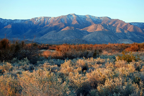 california mountain landscape desert pilz8
