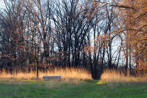 spring3 by Barbara Eckstein, park sunset lake nature forest landscape outdoors kent woods brighton metro michigan detroit annarbo