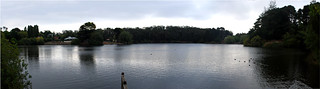 Lake Daylesford Panorama