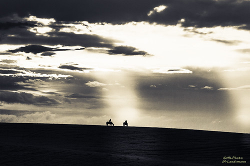 light sky horses blackandwhite bw sun nature silhouette clouds pentax rider horseman pentaxk20d mlphoto ©mlphoto markuslandsmannzenfoliocom