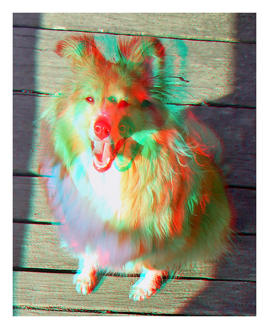 My laughing dog :-) (3D Phantogram)