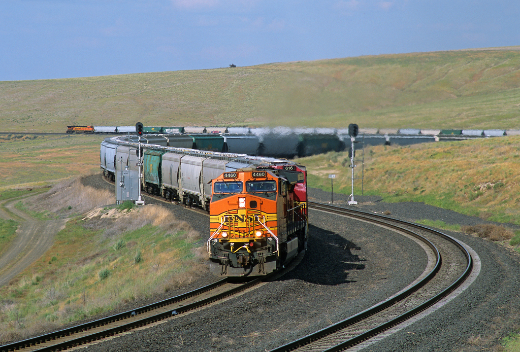 Climbing Providence Hill | A BNSF grain train climbs Provide… | Flickr
