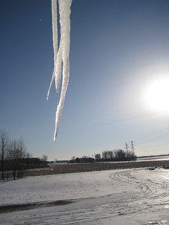 Icicle at Collins Road Barn