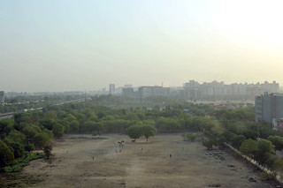 Pockets of Urban Greens in Gurgaon | Gurgaon, India