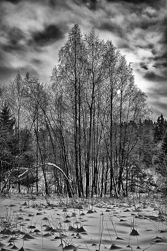 Project 5/52 | by r.kris