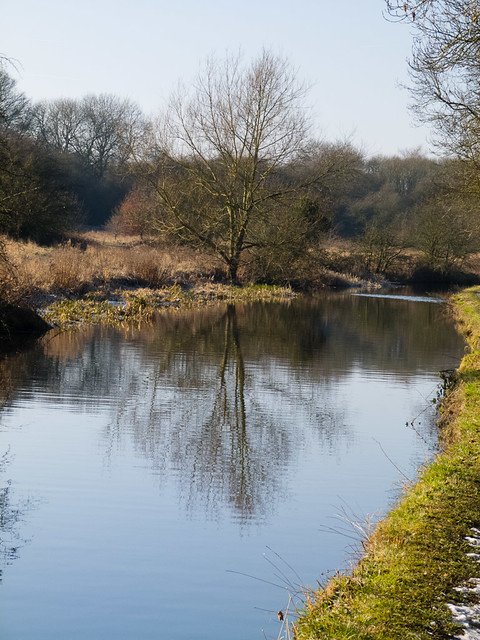 Staffs and Worcs canal near Compton