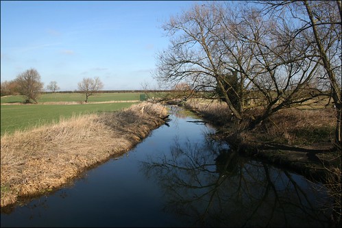 The River Cam near Haslingfield 