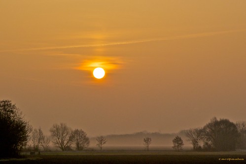morning orange sun mist sunrise soleil brume matin