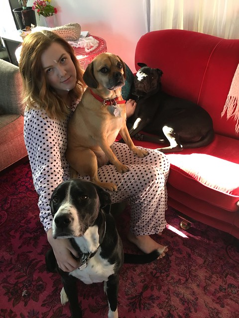 Martha and Dogs