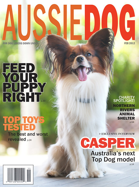 Casper: Australia's Next Top Dog Model