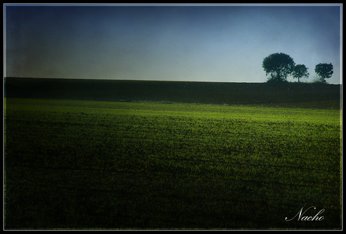 3 arboles /3 trees by sr.Nacho, Los más altos y nobles árboles tienen más razón para temerle a los truenos.
The highest and nobles