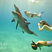 Bimini – plaveme s delfíny, foto: Atmoji ©WildQuest