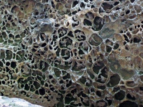 Honeycomb weathering (Black Hand Sandstone, Lower Mississi… | Flickr