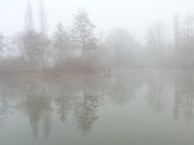 Brouillard'Acigné