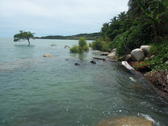 From the jetty, facing the island
