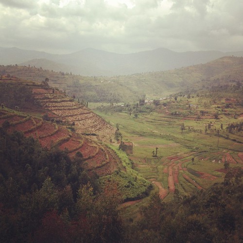 green landscape rice rwanda hills agriculture 4s iphone instagram