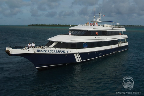 BAIV1