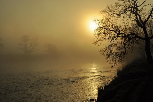 england sun mist tree water sunrise river geotagged dawn march spring valley cumbria eden banks geo:lat=5475196542826722 geo:lon=26956719953841457