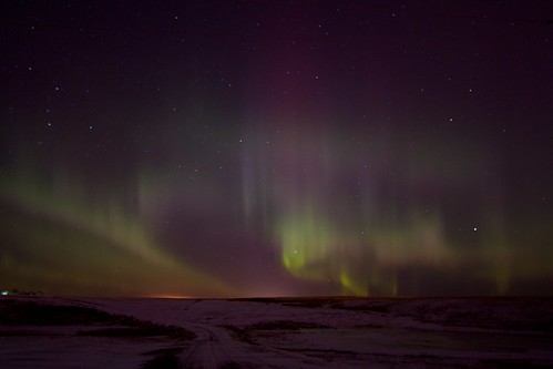 winter calgary lights alberta aurora northern borealis airdrie