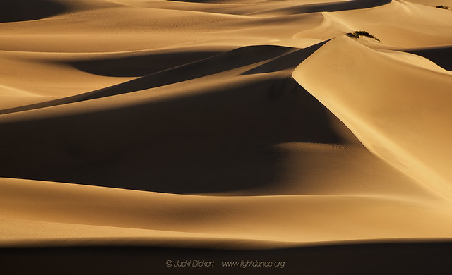 Dune study