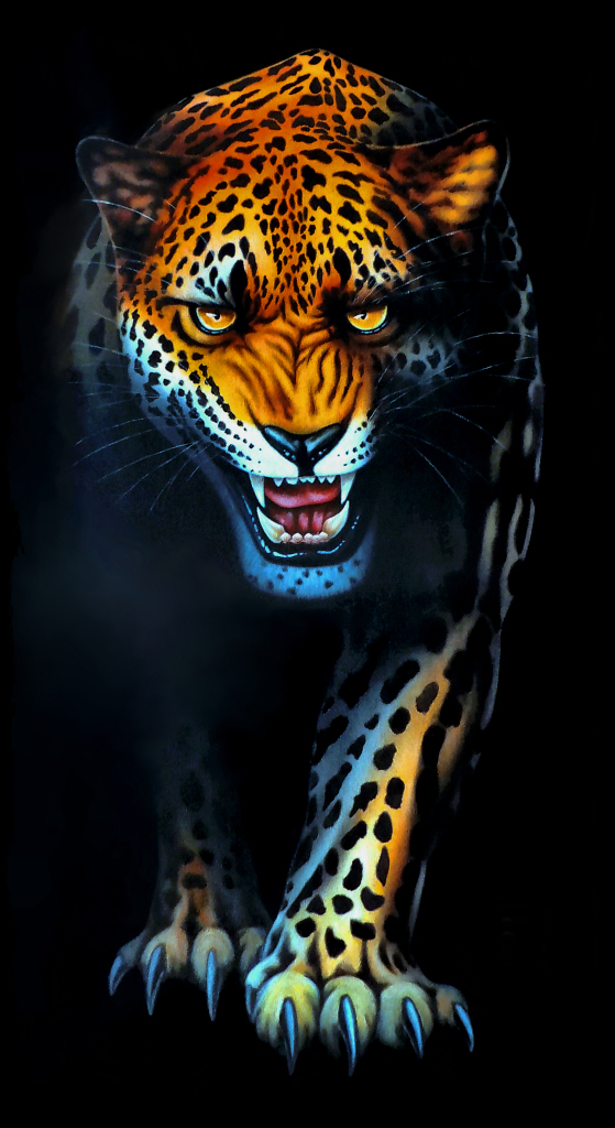 62 Gambar Macan Hitam Terbaik Gambar Pixabay