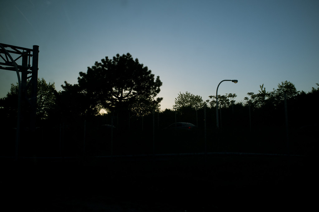 Silhouetted trees, highway overhead scaffolding, and a streetlamp against a calm twilight sky.